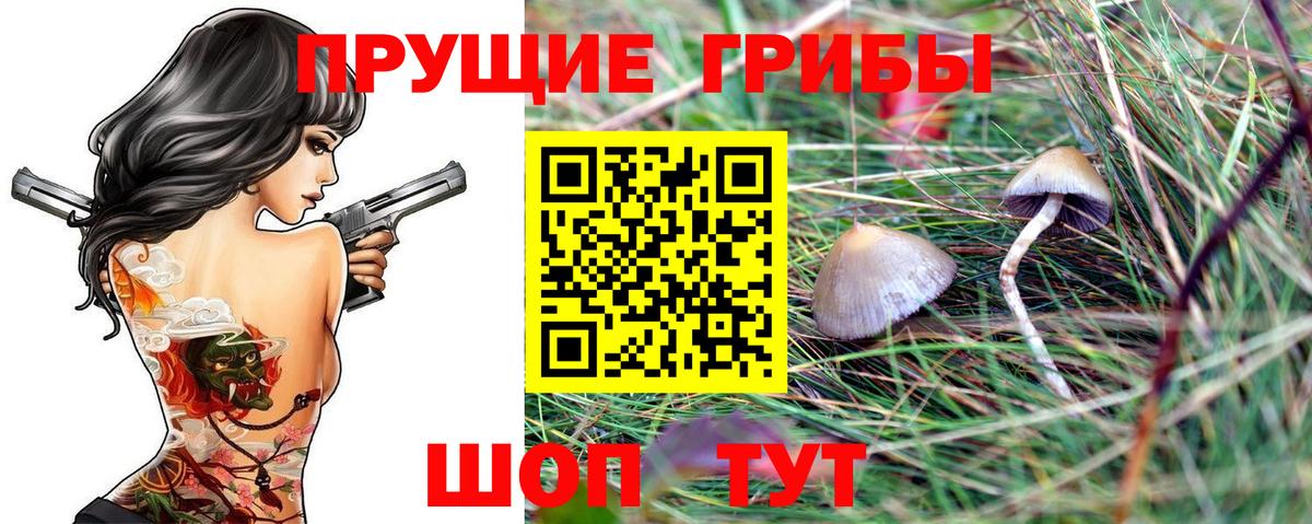 Псилоцибиновые грибы прущие грибы  Вход с VPN  Кисловодск 