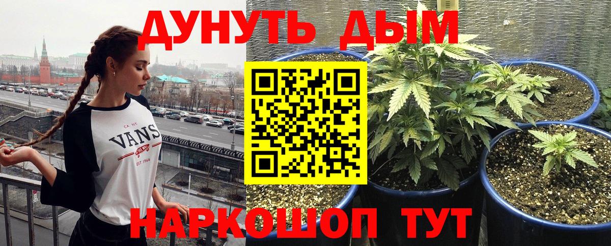 Бошки марихуана марихуана  Вход с VPN  Кисловодск  Бошки Шишки Ganja  Каннабис индика 